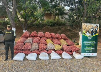 Aprehenden más de cuatro toneladas de frutas en vías del sur de La Guajira