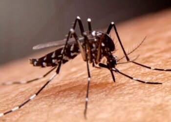 Debido al incremento de casos de dengue en el Cesar, se abre investigación sobre las medidas de contingencia