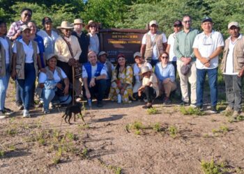 Los mangles de La Guajira su conservación y mejora: La nueva apuesta del Gobernador Jairo Aguilar