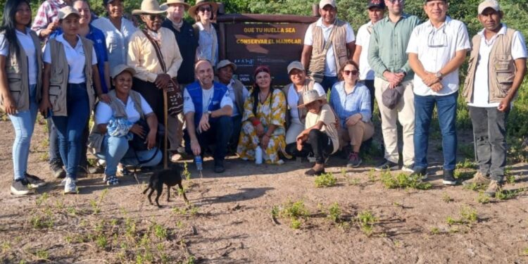 Los mangles de La Guajira su conservación y mejora: La nueva apuesta del Gobernador Jairo Aguilar