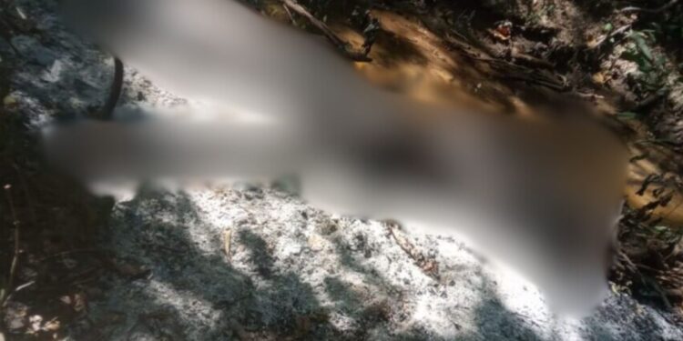 Más de un mes lleva sin identificar cuerpo calcinado hallado en zona rural de Fonseca