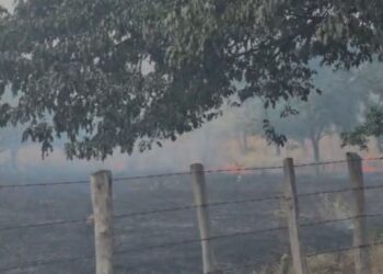 Los habitantes del corregimiento de La Peña lanzan un S.O.S a las autoridades por incendio forestal