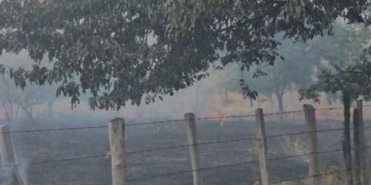 Los habitantes del corregimiento de La Peña lanzan un S.O.S a las autoridades por incendio forestal