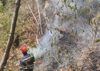 Las quemas en la Serranía del Perijá, la pobreza y la seguridad alimentaria
