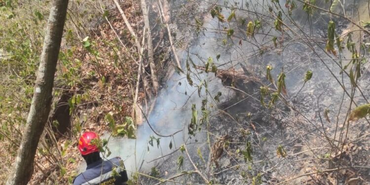 Las quemas en la Serranía del Perijá, la pobreza y la seguridad alimentaria