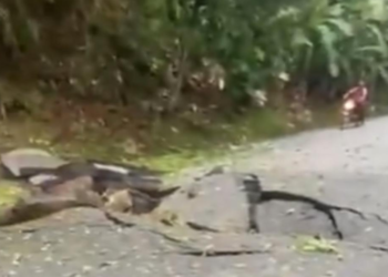 Explosión del ELN en la vía Medellín – Costa Caribe genera crisis de seguridad en Antioquia