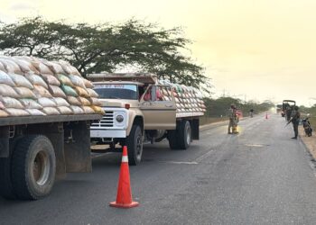 Ejército inmoviliza tres camiones con sal extraída presuntamente de forma ilegal en Manaure