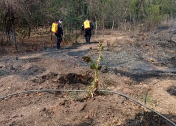 Incendio forestal en una finca en Fonseca arrasó con una hectárea de vegetación y cultivos