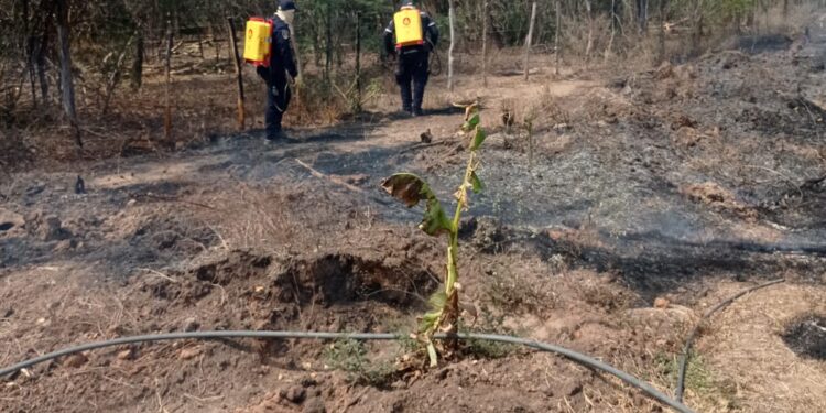 Incendio forestal en una finca en Fonseca arrasó con una hectárea de vegetación y cultivos