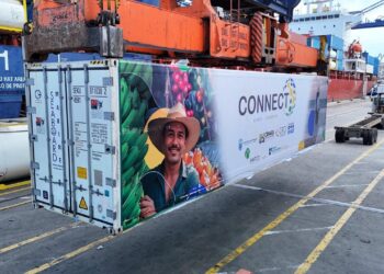 Exportaciones en Santa Marta aumentaron 15,3% en 2024 superando el promedio nacional