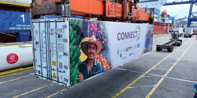 Exportaciones en Santa Marta aumentaron 15,3% en 2024 superando el promedio nacional