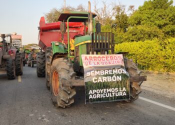 Arroceros de La Guajira bloquean vías en protesta por crisis del sector
