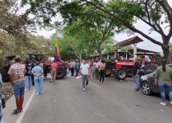 Arroceros de La Guajira se suman al paro nacional ante crisis del sector