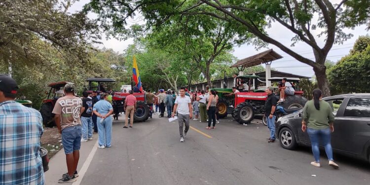 Arroceros de La Guajira se suman al paro nacional ante crisis del sector
