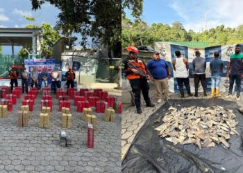 Armada incauta 1,3 toneladas de cocaína y 208 aletas de tiburón a millas náuticas de Tumaco, Nariño