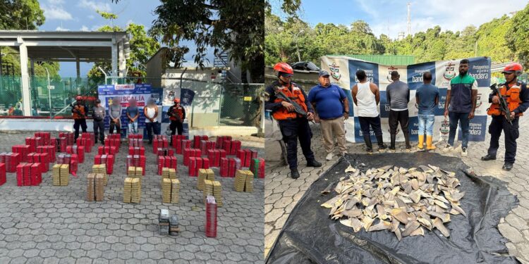 Armada incauta 1,3 toneladas de cocaína y 208 aletas de tiburón a millas náuticas de Tumaco, Nariño