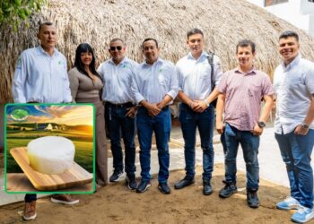 Queso Costhecho: innovación digital para el sector lácteo del Caribe colombiano