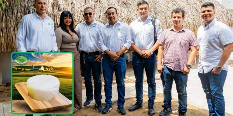 Queso Costhecho: innovación digital para el sector lácteo del Caribe colombiano