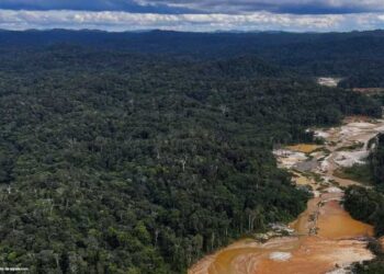 Procuraduría pide anular resolución indígena que permitiría minería en reserva de la Amazonía
