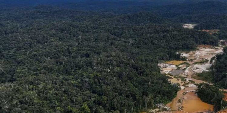 Procuraduría pide anular resolución indígena que permitiría minería en reserva de la Amazonía