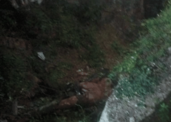 Una mujer muerta y dos hombres heridos deja accidente de tránsito en la vía Maicao – Carraipía