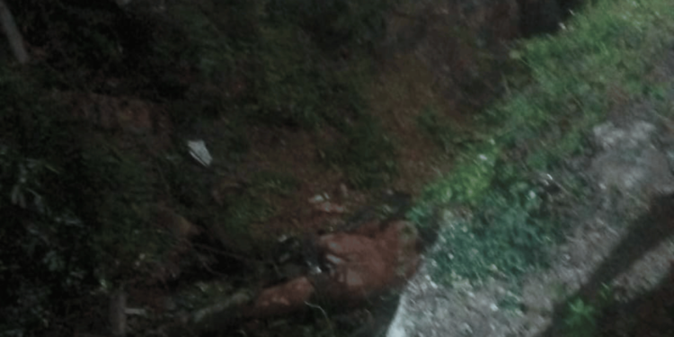 Una mujer muerta y dos hombres heridos deja accidente de tránsito en la vía Maicao – Carraipía