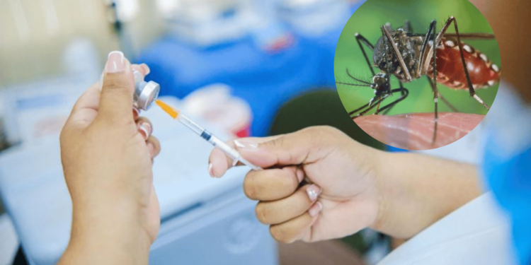 La Guajira en alerta por fiebre amarilla: autoridades refuerzan vacunación y vigilancia sanitaria