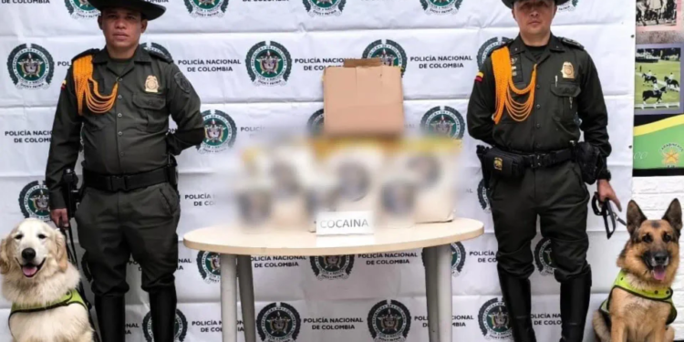 Perros antidrogas detectan más de 10 kilos de cocaína ocultos en café con destino a Holanda desde El Dorado