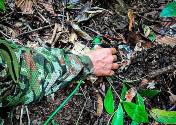 Procuraduría advierte sobre recontaminación con minas antipersonal en 53 municipios