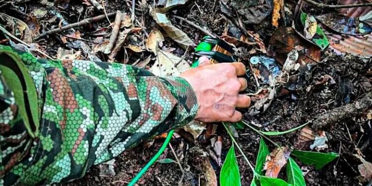 Procuraduría advierte sobre recontaminación con minas antipersonal en 53 municipios