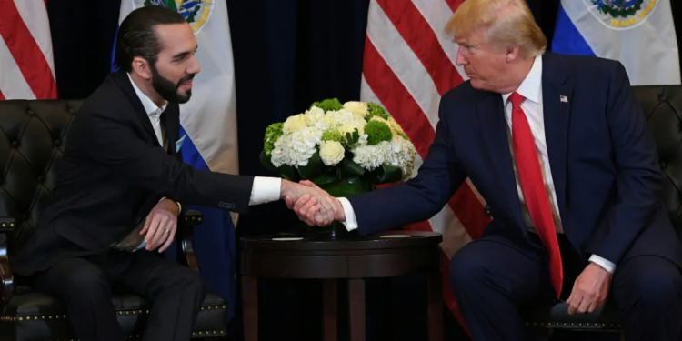 Bukele y Trump fortalecerán cooperación en Washington con foco en seguridad regional