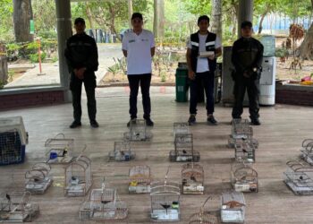 Autoridades incautan más de 4.000 racimos de palma de cera y 51 especies silvestres en Barranquilla