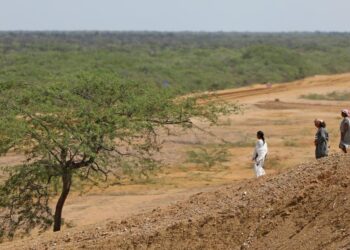 Tecnocracia chibcha: Un homenaje a la inoperancia