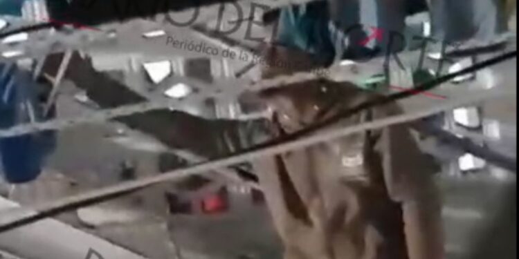 Presos reciben al presunto asesino de la niña de 10 años en el barrio 2 de febrero de Riohacha