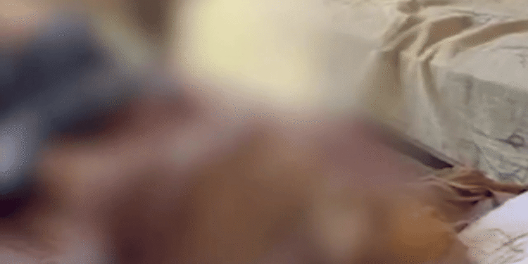 Hermanos son capturados en Brasil por ocultar el cadáver de su padre para seguir recibiendo beneficios económicos