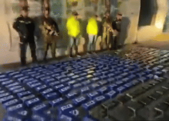 Golpe al narcotráfico en Maicao: incautan 403 kilos de cocaína listos para ser enviados a EE. UU.
