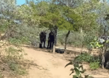 Hallan cuerpo sin vida de un hombre en la vía Riohacha – Cuestecitas