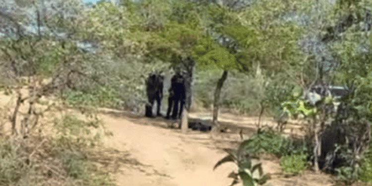 Hallan cuerpo sin vida de un hombre en la vía Riohacha – Cuestecitas