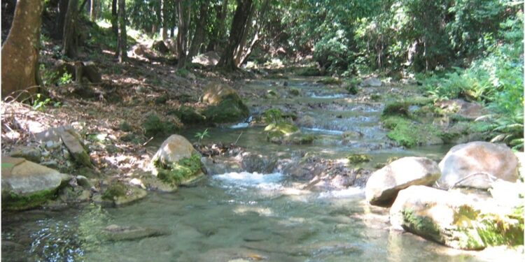 Asalto masivo a bañistas en balneario de Albania: presuntos delincuentes hurtaron pertenencias y una camioneta