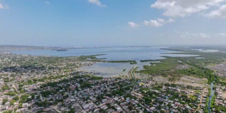 Procuraduría solicitó información sobre acciones adoptadas por asentamientos irregulares en la Ciénaga de La Virgen, en Cartagena