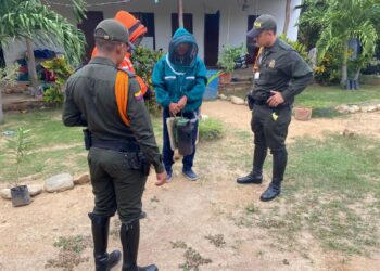 Carabineros y Protección Ambiental promueven el cuidado de las abejas en su Día Mundial