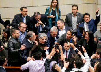 Análisis jurídico de la votación del Senado sobre la autorización de consulta popular