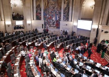 La representación popular y sus límites