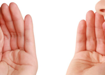 El desastre cotidiano de la lengua