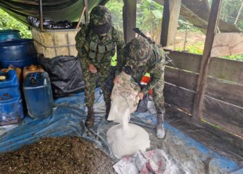 Golpe al narcotráfico: Ejército desmanteló 28 laboratorios de cocaína en el Pacífico nariñense