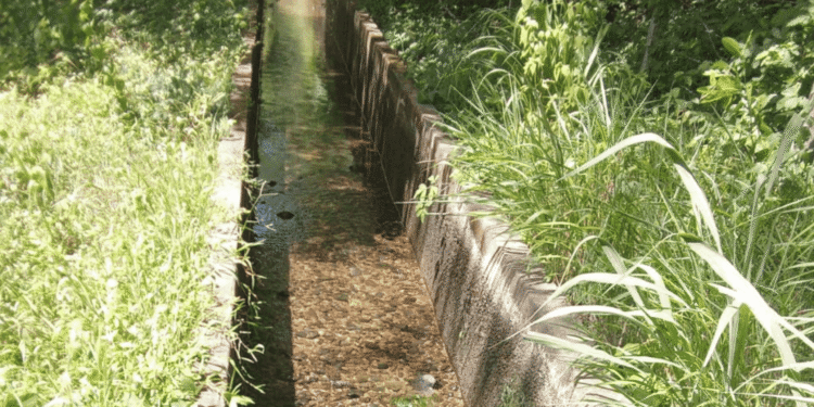 Protesta por transporte escolar deja sin agua a Riohacha: Aqualia alerta sobre graves afectaciones en el servicio