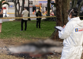 Hallan cuerpo calcinado en zona verde del norte de Cali