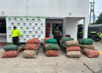 Autoridades asestan nuevo golpe al tráfico de fauna y contrabando en La Guajira