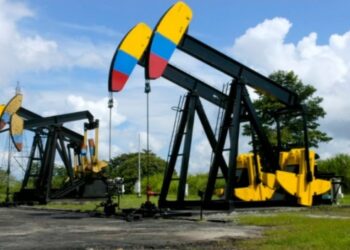 A propósito del informe de la ANH