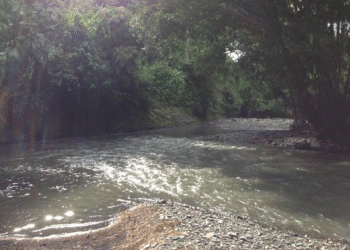 Auxiliar de vuelo hallada muerta en río de Cundinamarca; su amigo sigue desaparecido